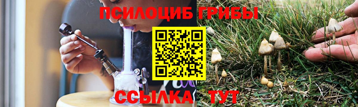 Ливны  Псилоцибиновые грибы мицелий  Вход с VPN 