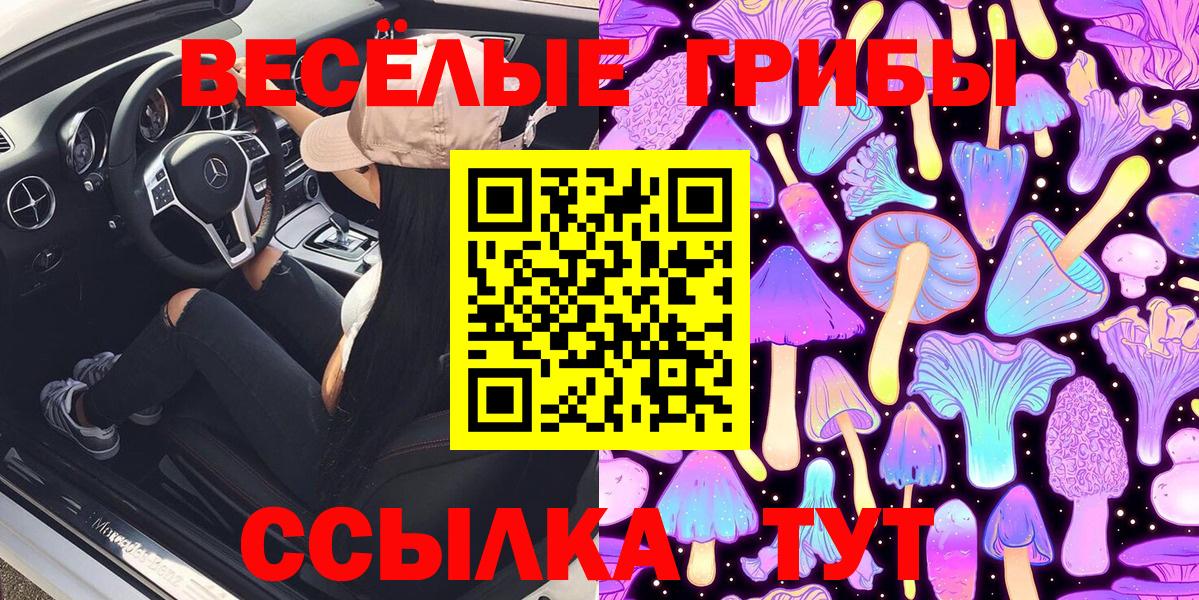 Галлюциногенные грибы GOLDEN TEACHER Ливны