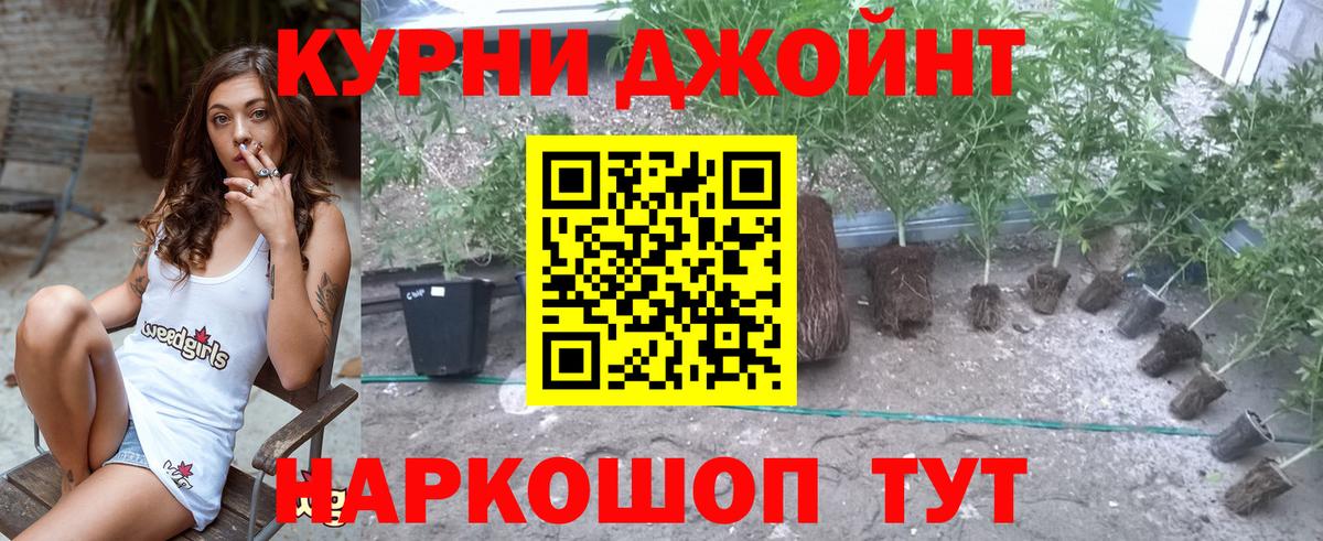 Бошки марихуана Bruce Banner Ливны